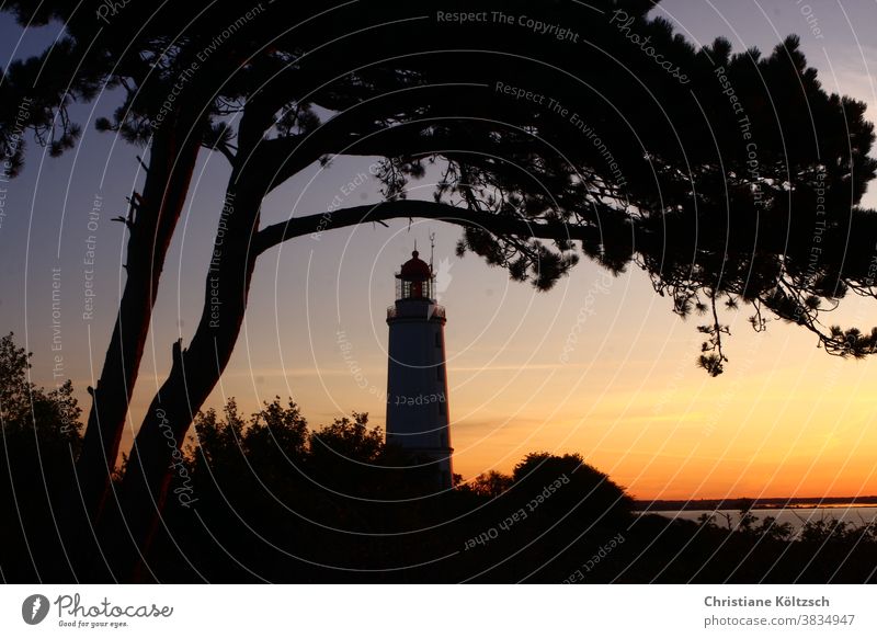 Leuchtturm auf dem Dornbusch der Ostseeinsel Hiddensee bei Sonnenuntergang
