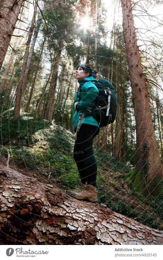 Frau Läuft Auf Baumstamm Im Wald Ein Lizenzfreies Stock Foto Von Photocase